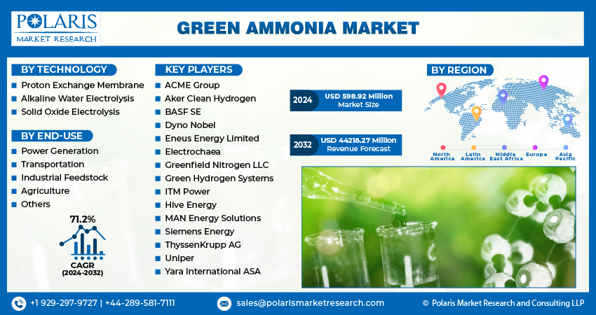 Green Ammonia Market Info